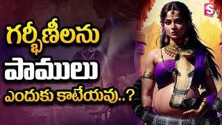 గర్భీణీలను పాములు ఎందుకు కాటేయవు..? || Why Snakes Do Not Bite Pregnant Women? @SumanTVsubham