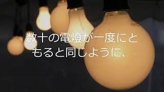 寺田寅彦「からすうりの花と蛾」①