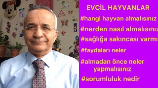 Hayvanların ruh ve beden sağlığına faydaları nelerdir?#hayvan#evcilhayvan