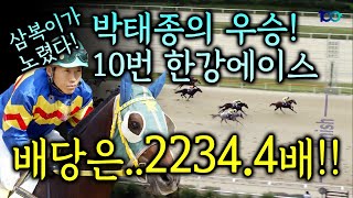 (경마) 문화일보배 '박태종'의 우승 배당 2234.4배!! 삼복이는 노렸습니다!! 대박적중!!