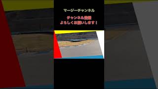 【幸田サーキットの走り方!】サーキットってこんなだった！ サーキットコースウォーク!  前編! ※続きは後編と本編で！ #Shorts