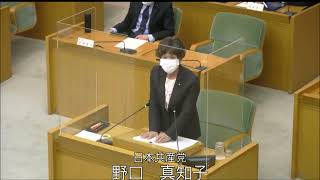 令和4年松原市議会第1回定例会（第4日目）個人質問：野口議員