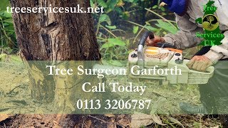 Tree Surgeon Garforth Leeds LS25 - Tree Felling And Removal Services Stump Grinding West Yorkshire