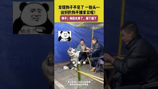 發現狗子不見了 一擡頭... 說好的狗不嫌家貧呢！ #shorts #萌宠