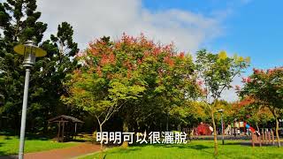 聽歌賞景//秋風吹起---大溪埔頂公園/桃園市