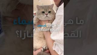 ما هي أكثر أسماء القطط انتشارًا؟ 🐈‍⬛💙 (جزء 2)