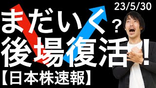 【日本株速報】23/5/30 まだいくか？後場復活で再び高値とった日経平均株価とあの注目銘柄！