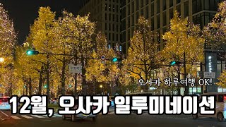 [뿌리소 교토 / 오사카] 12월 오사카 일루미네이션 가자!! 12월 늦은 단풍 여행과 맛집투어!