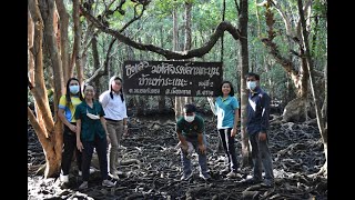 ท่องเที่ยวลานตะบูน ท่าระแนะ