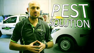 Comprehensive Pest Control Solution Offer