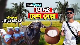 দেশ সেরা দই | চকরিয়া ইলিশিয়া লালব্রিজের ঐতিহ্যবাহী মহিষের খাঁটি দই Famous Buffalo Curd Bangladesh