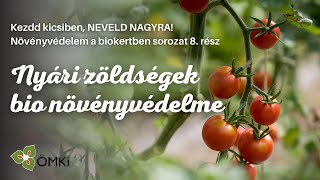 Ökológiai védelem a nyári konyhakertben