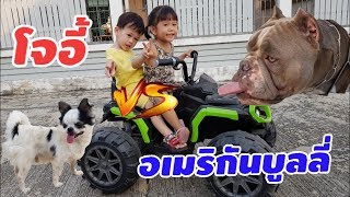 พี่อลิซกะน้องทาวิน | โจอี้ปะทะอเมริกันบูลลี่ 🐶 | อลิซพาน้องทาวินซิ่งรถ 🛵