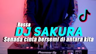 Download Lagu DJ SENADA CINTA BERSEMI DIANTARA KITA REMIX ROSSA ... MP3 Gratis
