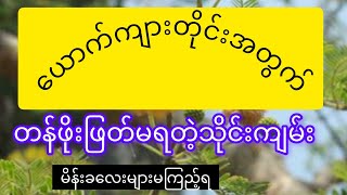 ယောက်ကျားတိုင်းအတွက်အဖိုးတန်လွန်းတဲ့လျို့ဝှက်သိုင်းကျမ်း