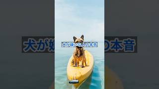 犬が嫌いな人の本音 #雑学＃豆知識＃犬嫌い