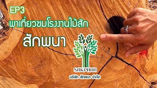 PangTin-FinFur Ep.3 พาเที่ยวชมโรงงานไม้สักพนา