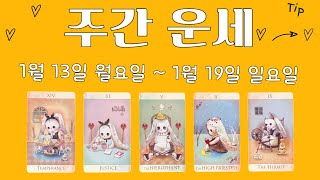 [타로/주간운세]1월 셋째 주/직장/금전/계약/시험/관계/애정/컨디션