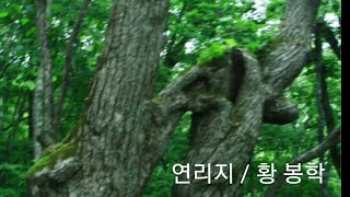 23.연리지, 황봉학, 박선미시낭송