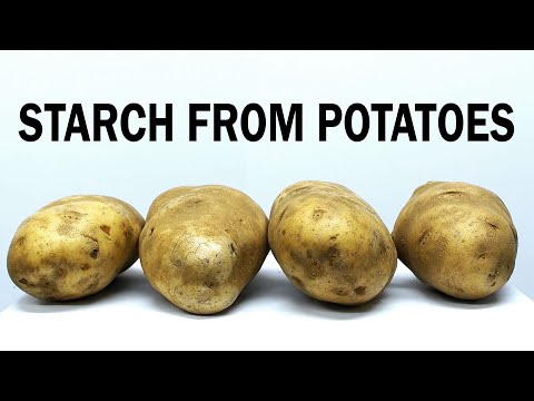 Extracting Starch from Potatoes Extracting Starch from Potatoes