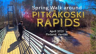 Spring Walk around Pitkäkoski Rapids, April 2021, Finland, Helsinki \u0026 Vantaa [4K]