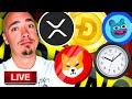 MAJOR CRYPTO NEWS! XRP, SHIBA INU COIN, DOGECOIN, BRETT COIN & MORE!