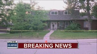 Homeowner stabbed