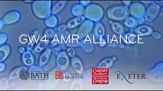 GW4 AMR Alliance