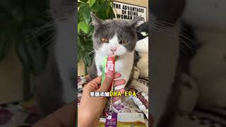 还有谁没薅过麦富迪的超级大礼包   萌宠好物 猫零食 新手养猫 麦富迪 吃货猫