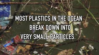 What are microplastics?___ माइक्रोप्लास्टिक क्या हैं?