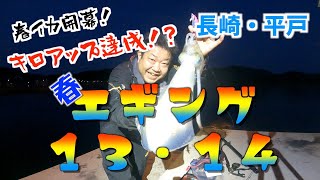春エギング１３・１４　アオリイカ・春イカ開幕！キロアップ達成！？（長崎県平戸）２０２５年『激ひまチャンネル』