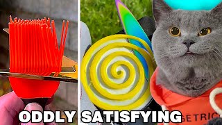 Cat Oscar Tells You How To Relax Yourself?😀👀| Oscar‘s Funny World | Cute And Funny Cat