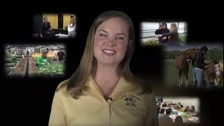 The CAFNR Edge: Find Your Connection