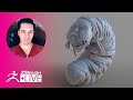 Concept a 3D Silkworm Creature in 2 hours #withme ! - Oscar Trejo - ZBrush 2021