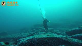 香港東霸附近潛水遇上中國重潛獵人 China professional dive hunter in Hong Kong High Island | 太陽潛水Sun Dive Co.