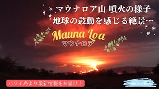 【ハワイの火山が大噴火】マウナロア山が噴火しました🌋 | 最新情報をお届け | Mauna Loa Eruption