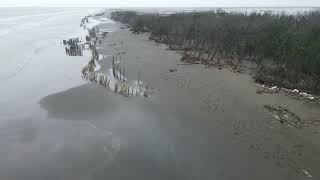 台江國家公園 七股潟湖 網仔寮汕沙洲消失的海岸、沙灘、步道與樹林  20230730 -2