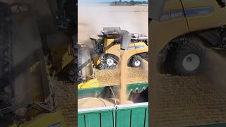 Wheat Harvest New Holland Combine Harvester #agri