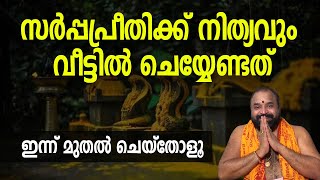 സര്‍പ്പപ്രീതിക്ക് നിത്യവും വീട്ടില്‍ ചെയ്യേണ്ടത്; ഇന്ന് മുതല്‍ ചെയ്‌തോളൂ