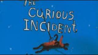 The Curious Incident of the Dog in the Night-Time by Mark Haddon Audiobook