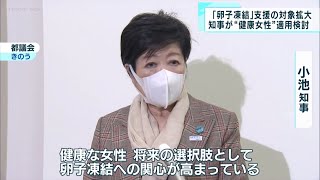 卵子凍結「健康な女性」支援対象へ検討