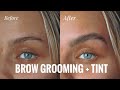 BROW GROOMING 101 + BROW TINT