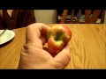 The Ugly Apple Contest