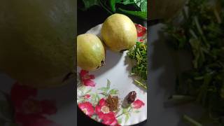 Guava chutney recipe #food #recipe #cuisinerecipe #cooking #fruit #guava #amrud #bihiya #chatni