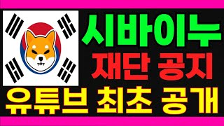 실시간)시바이누 재단 공지 유튜브 최초 공개합니다  #시바이누코인 #시바이누코인1달러 #시바이누코인전망