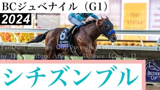 伏兵シチズンブルがG1連勝、日本馬は沈む【BCジュベナイル2024】/ Citizen Bull【FanDuel Breeders' Cup Juvenile pres by TAA 2024】