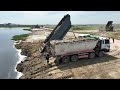 wonderful operation work teams trucks 25t u0026 bulldozer komatsu d58 pushing​ submerged land