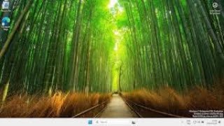 Chat Uses Windows 11 (NOT 7/24) (ANYDESK EDITION)