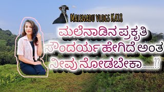 ಮಲೆನಾಡಿನ ಪ್ರಕೃತಿ ಸೌಂದರ್ಯ | native vlog | malenadu nature #viralvideo #youtube #vlog  #best #travel