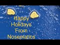 NOSEMATICS  Holiday Intermission